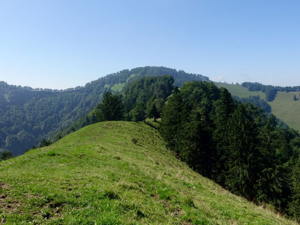 Blick zum Schnebelhorn