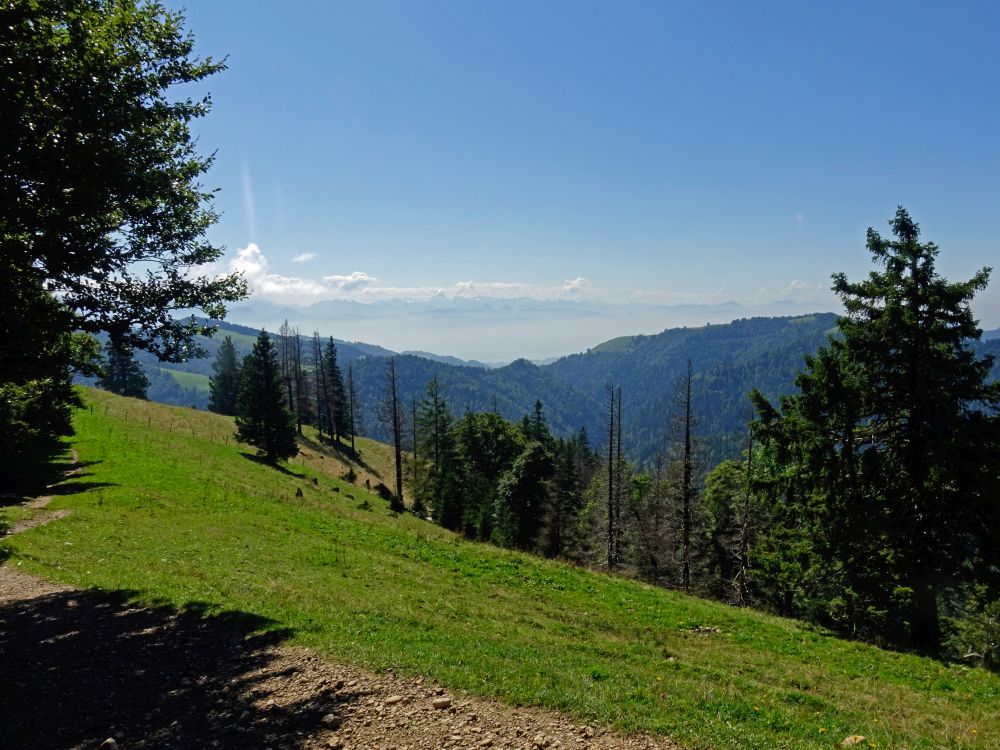 Gipfel der Zentralschweiz im Dunst