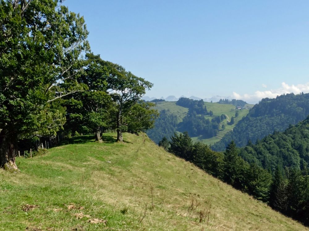 Blick Richtung Chrüzegg und Churfirsten