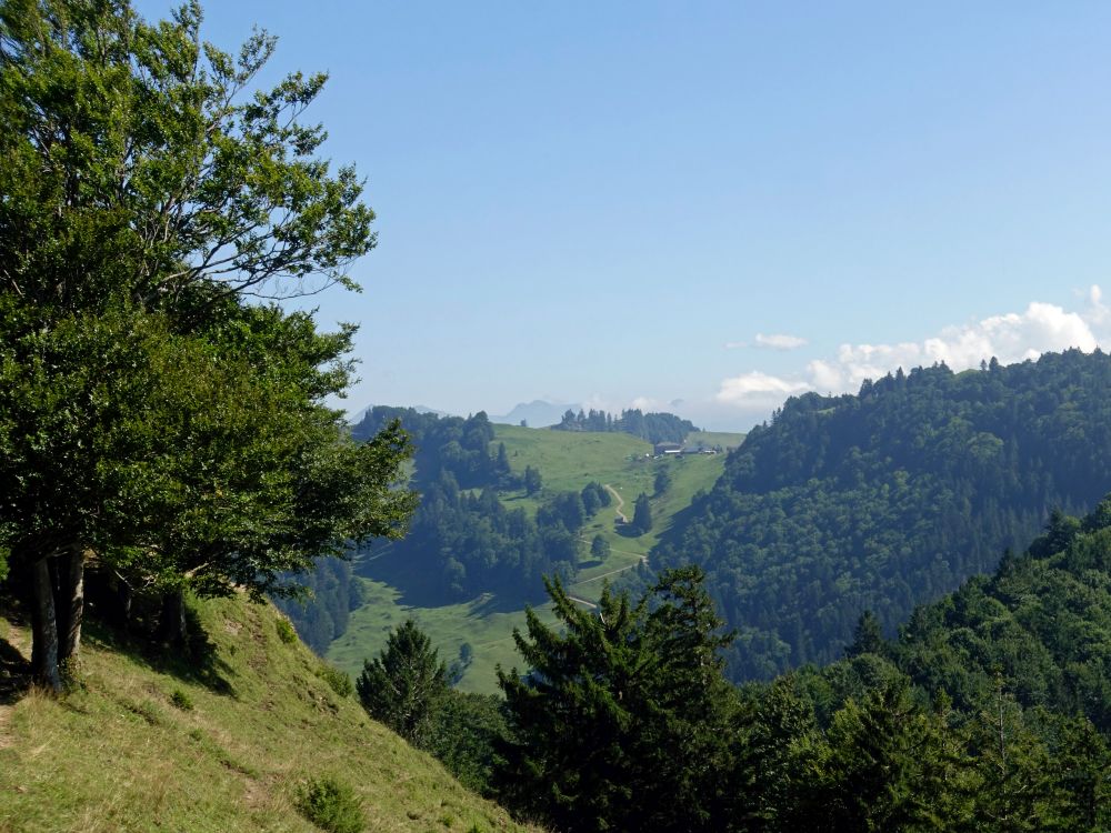 Blick Richtung Chrüzegg