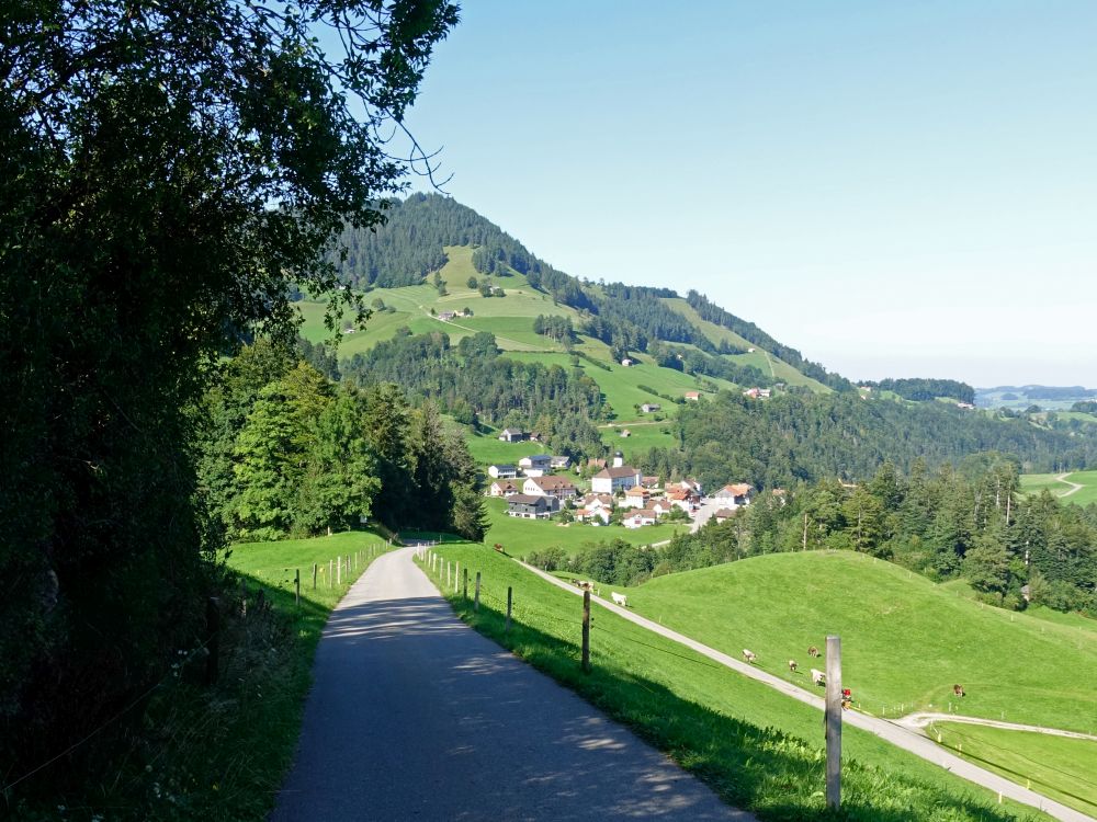 Vettigenstrasse und Libingen