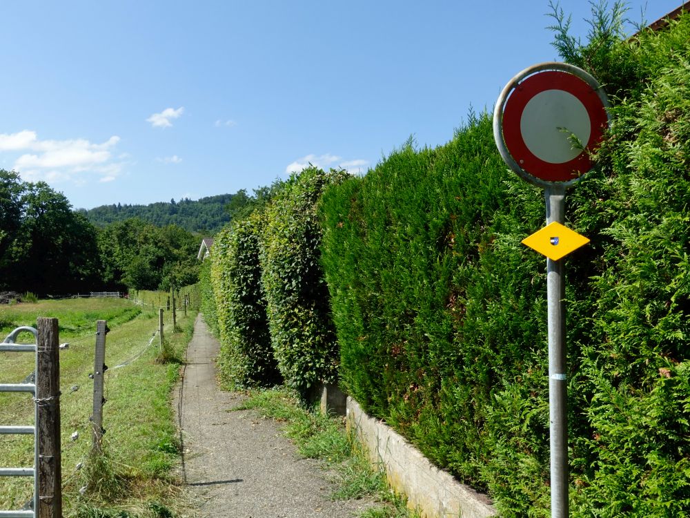 zwischen Hecke und Zaun