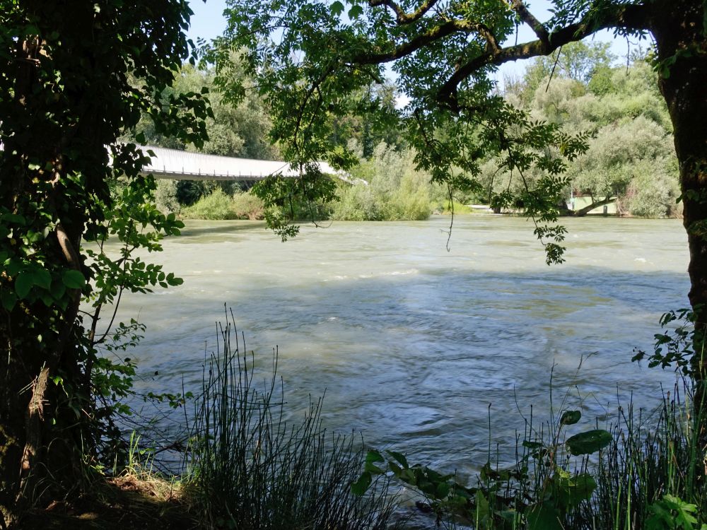 Aare mit Mülimattsteg