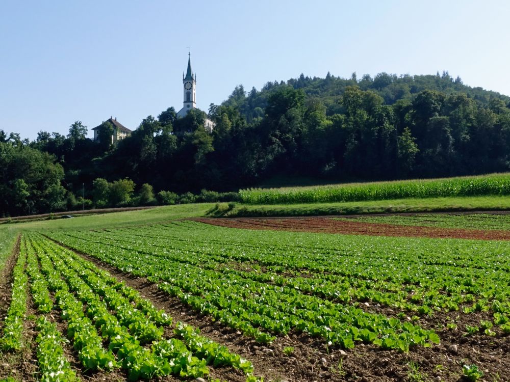 Kirche Vorderrein