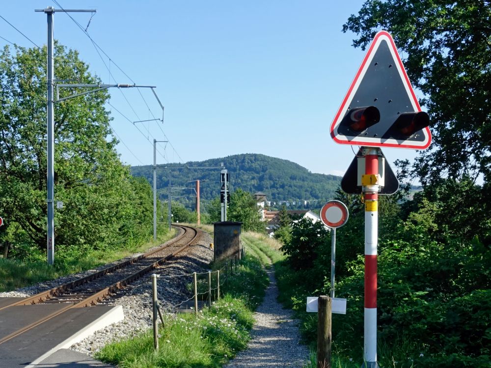 Blick Richtung Gerbenstorfer Horn