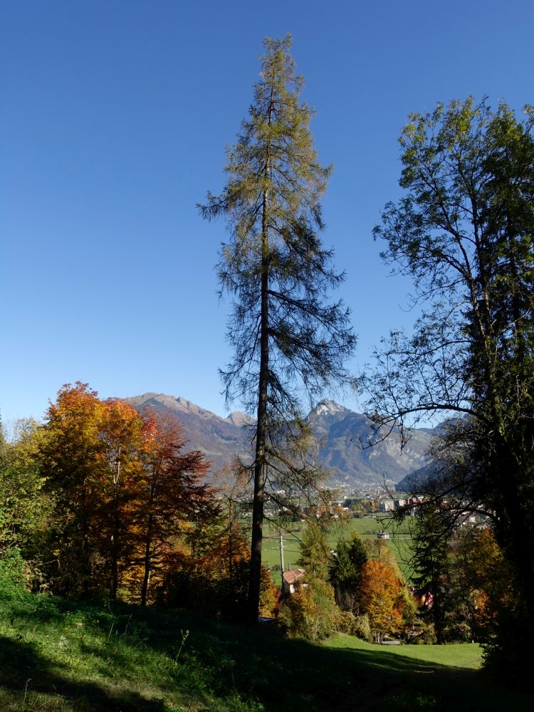 Läche zwischen Federispitz und Mattstock