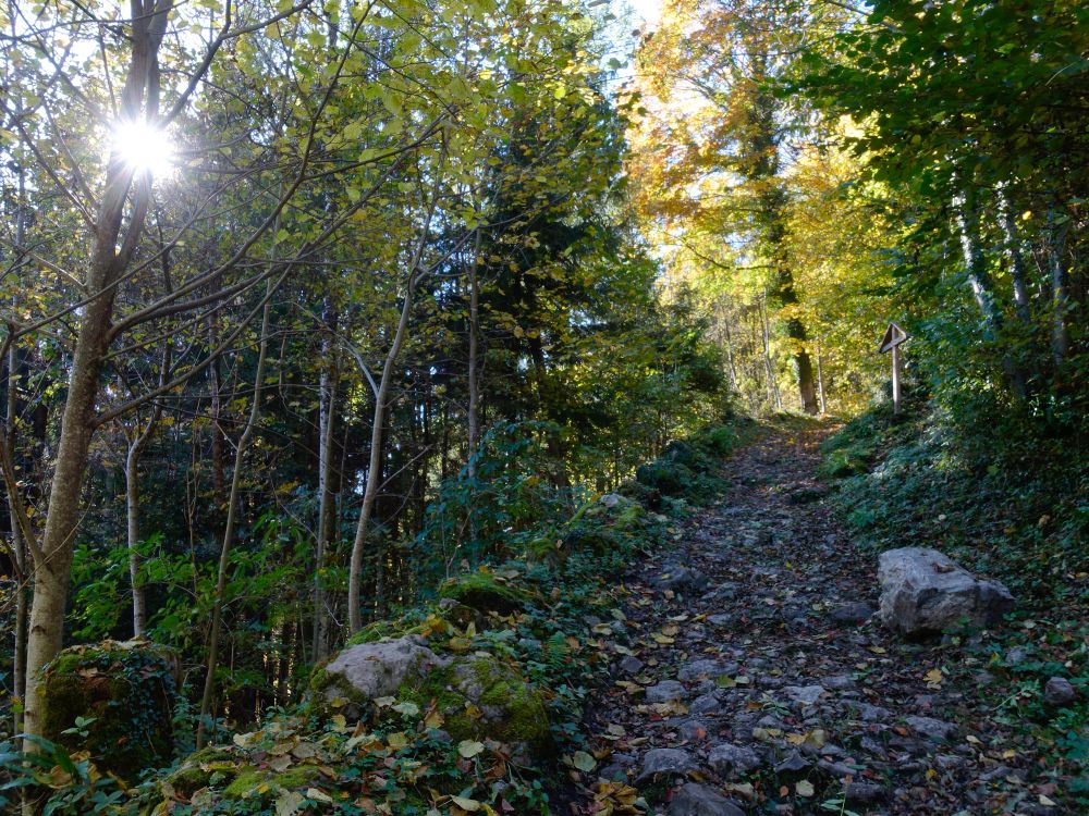 Wanderweg