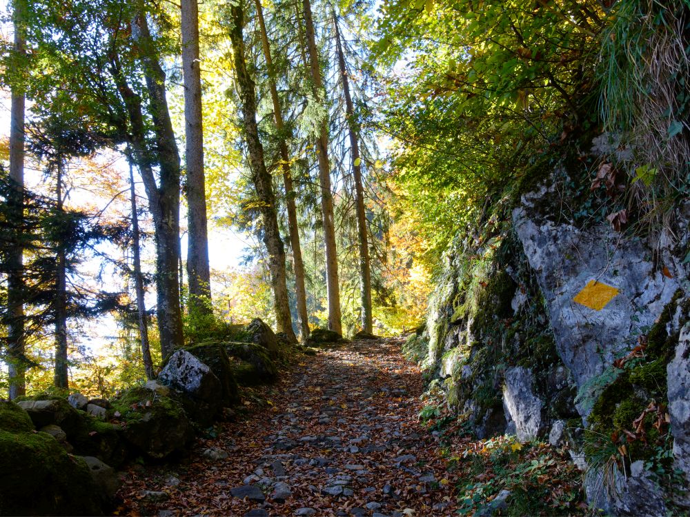 Wanderweg