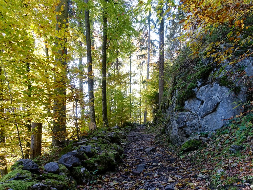 Wanderweg