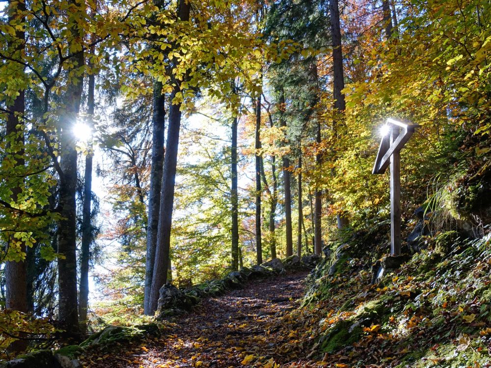 Wanderweg  mit Wegkreuz