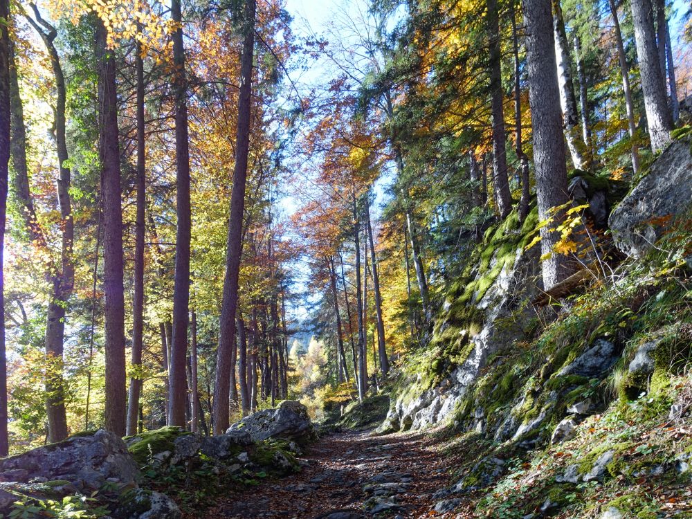 Wanderweg