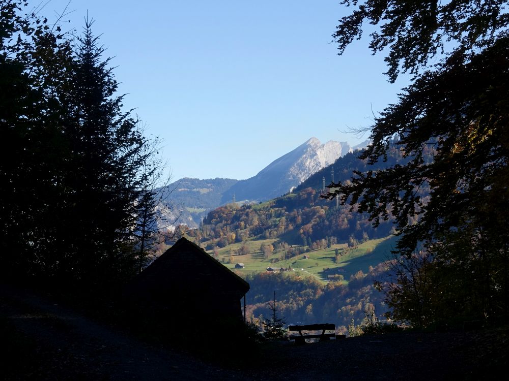 Leistchamm