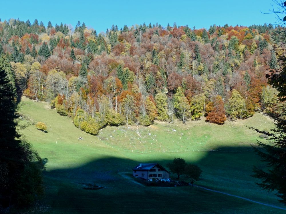 Rütiberg mit Herbstwald