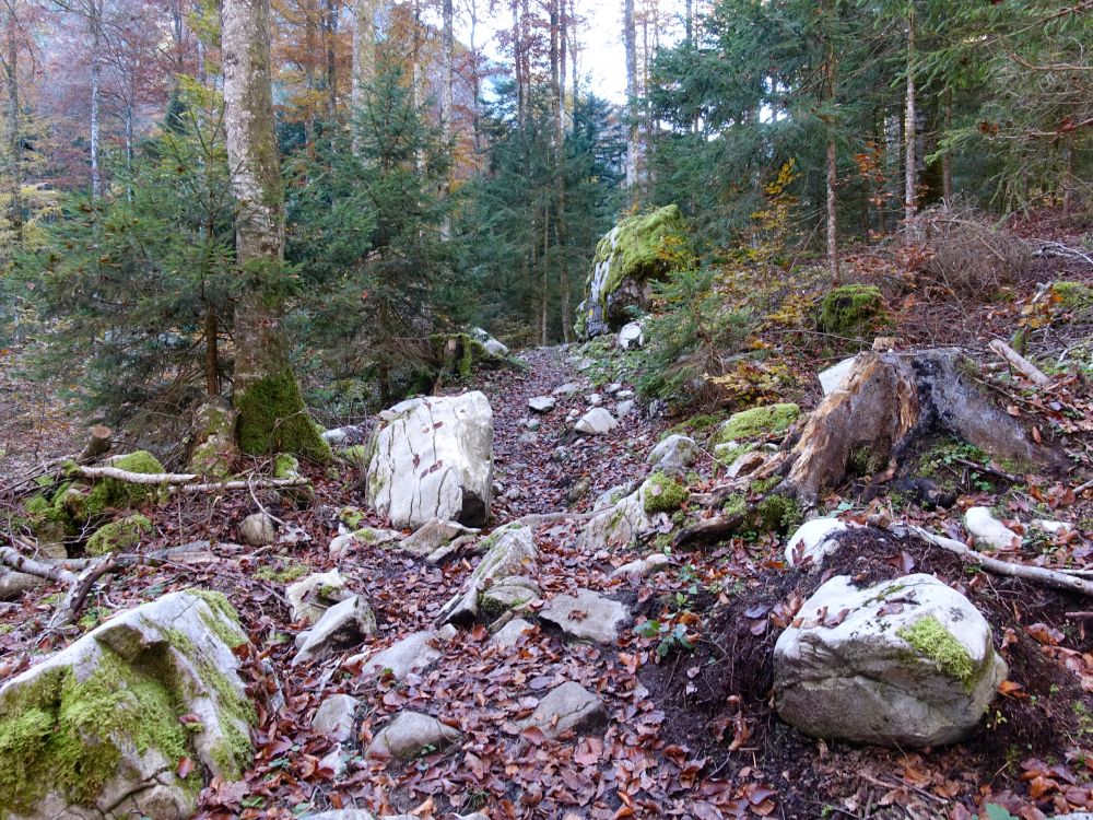 Wanderweg
