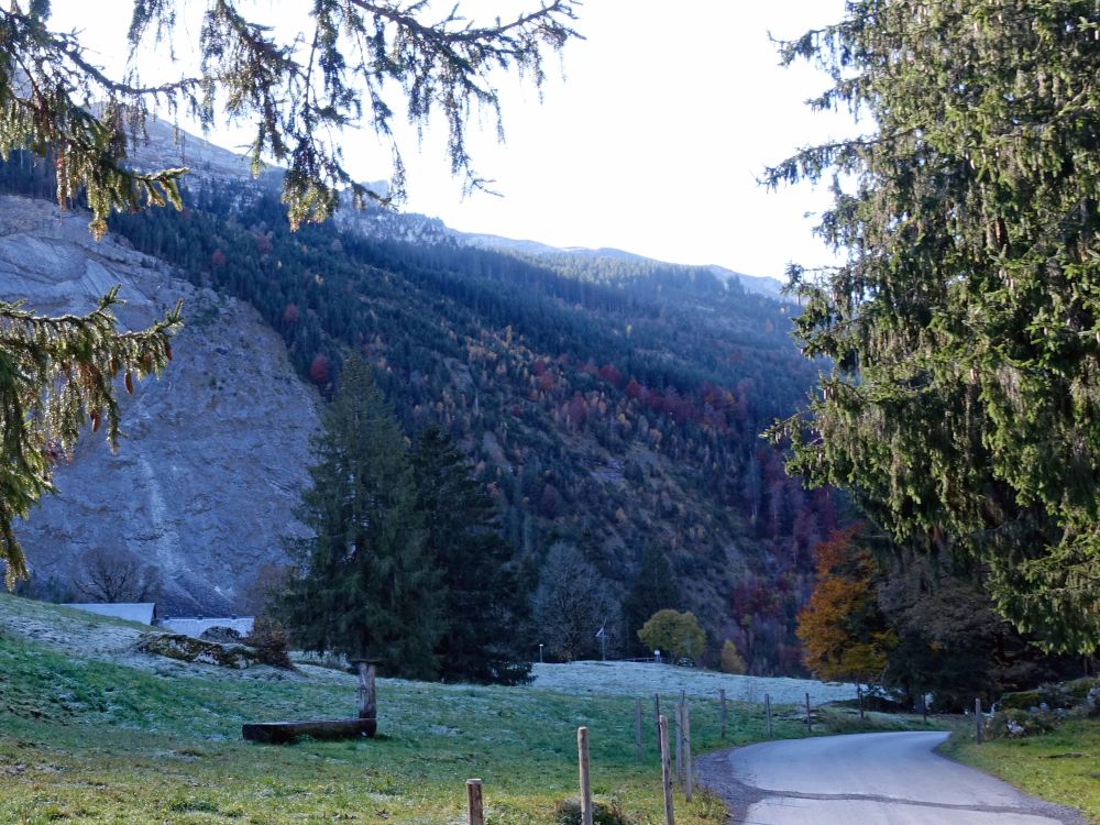 Schwarzwand und Raureif