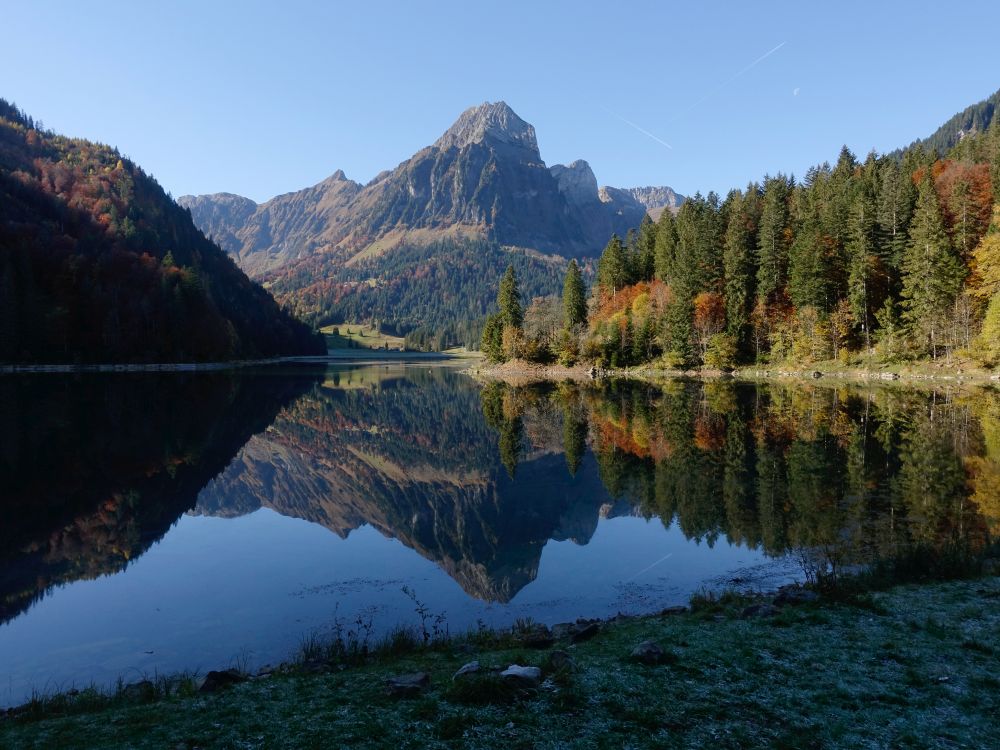 Brünnelistock am Obersee