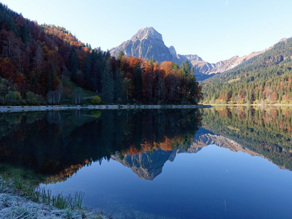 Brünnelistock am Obersee