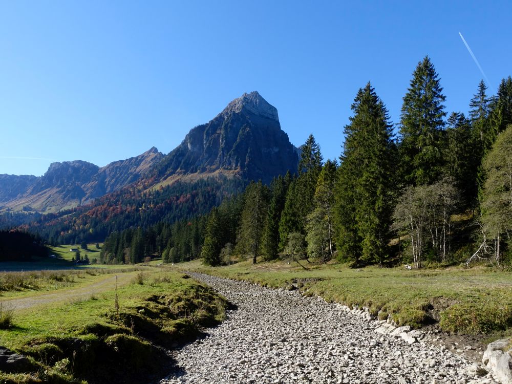 ausgetrockneter Sulzbach und Brünnelistock