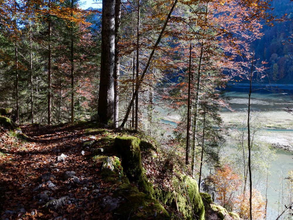 Wanderweg am Nordufer des Obersee