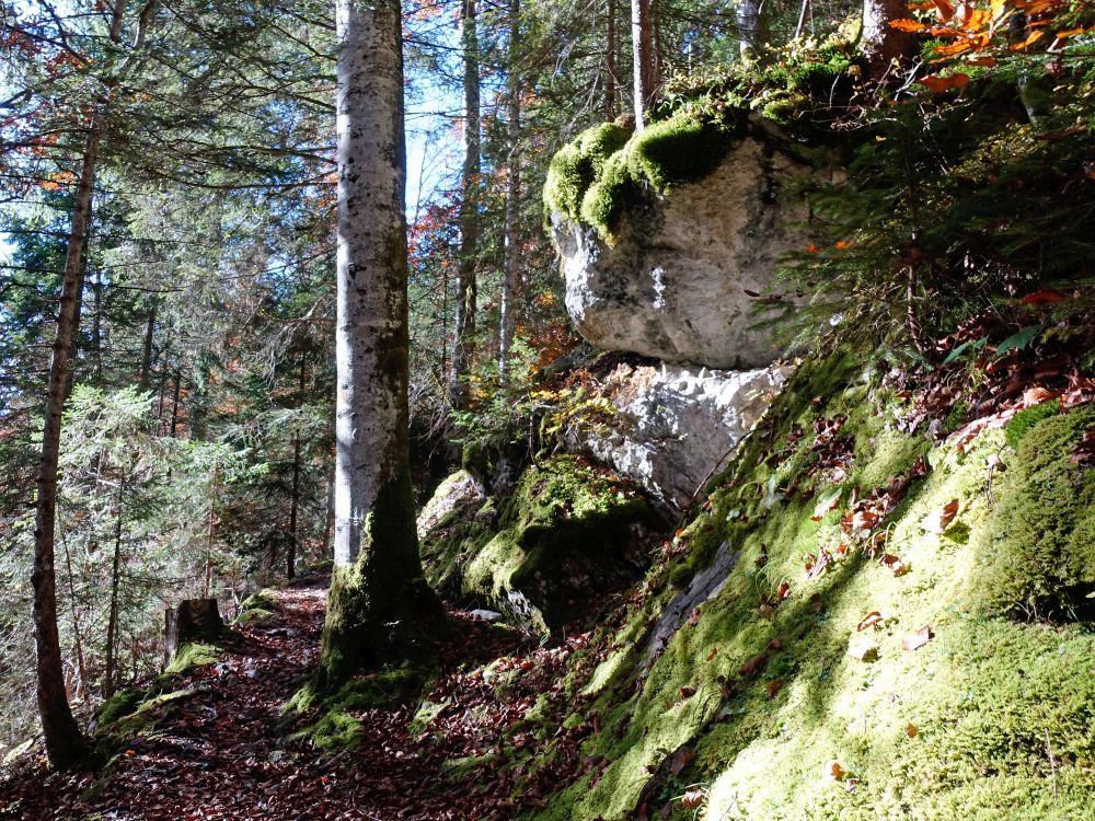 Fels am Wanderweg