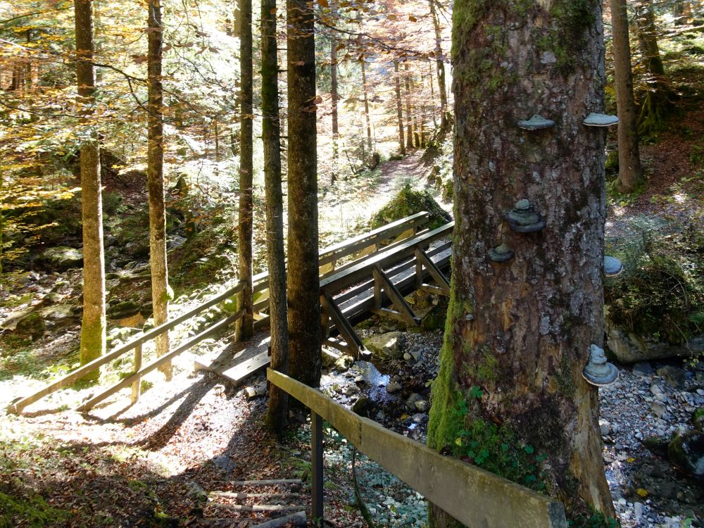 Holzsteg