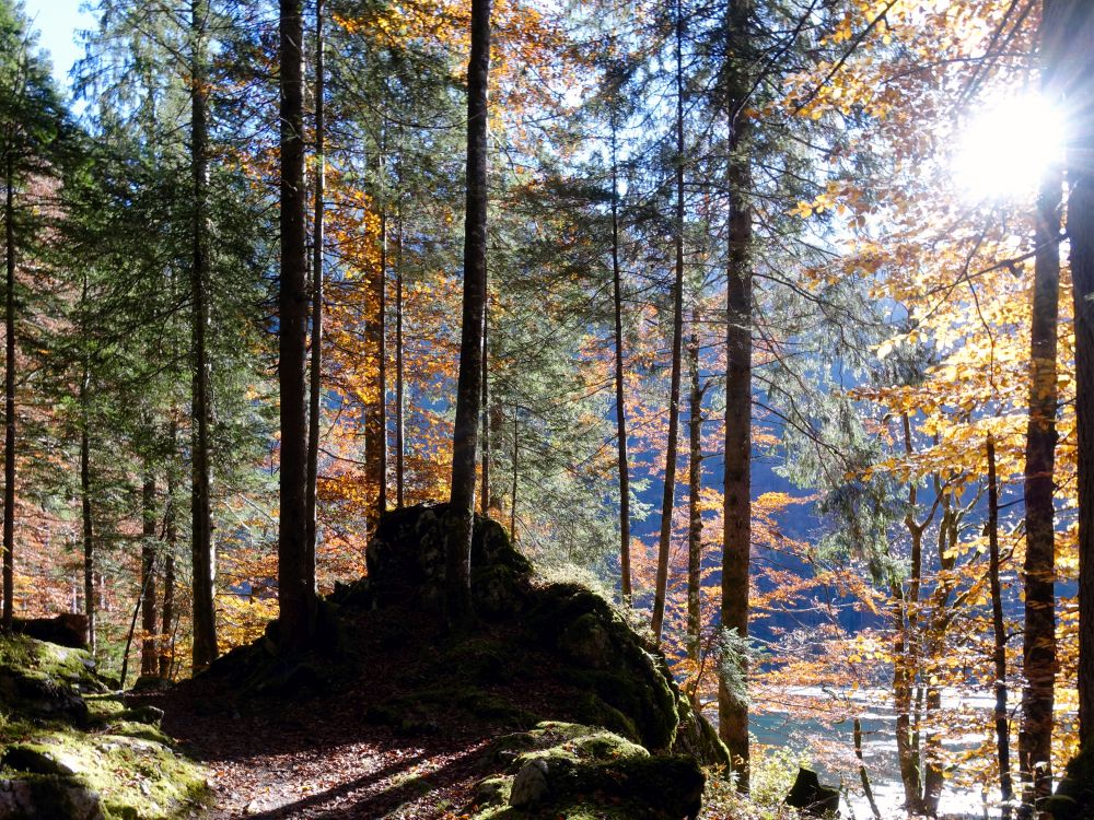 Wanderweg am Nordufer des Obersee