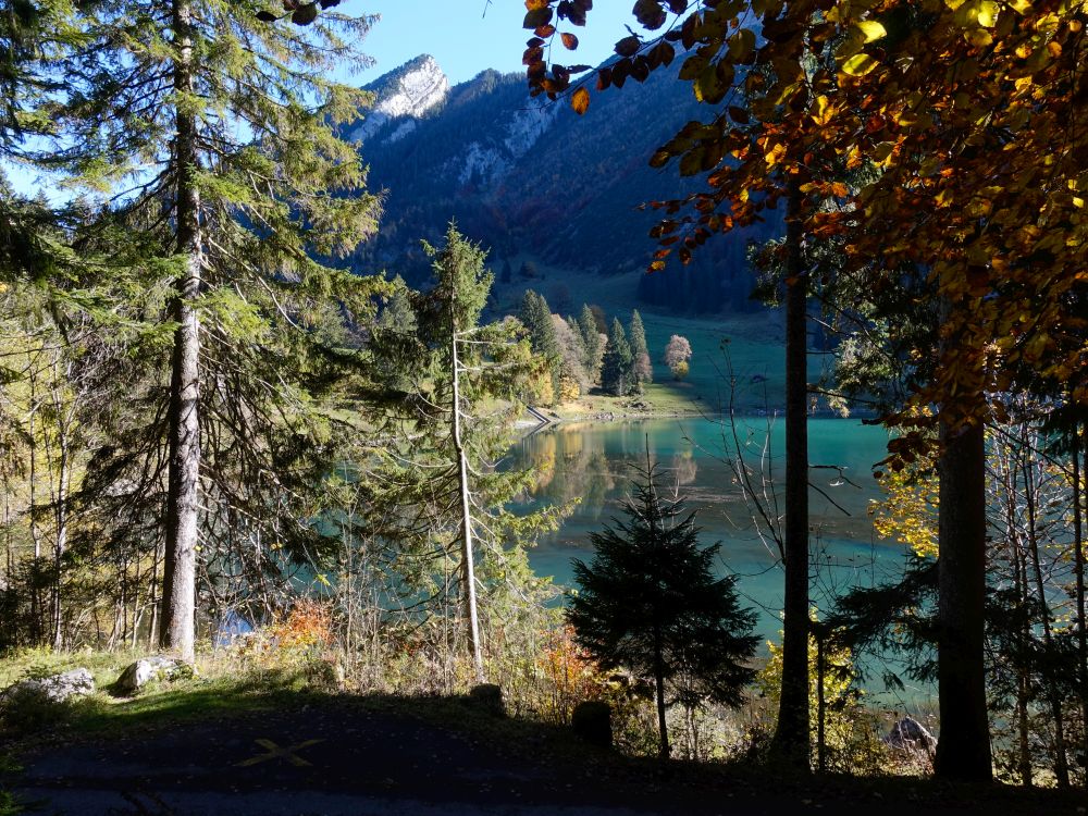 Obersee