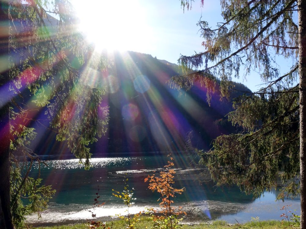Obersee mit Reflektionen