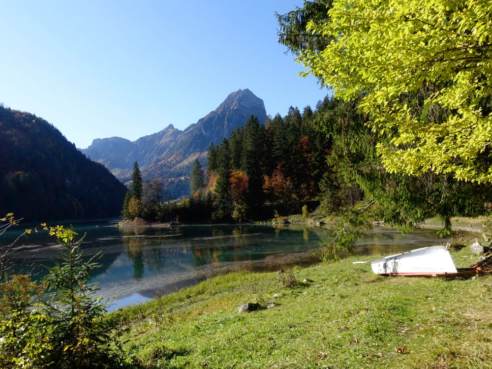 Obersee und Brünnelistock