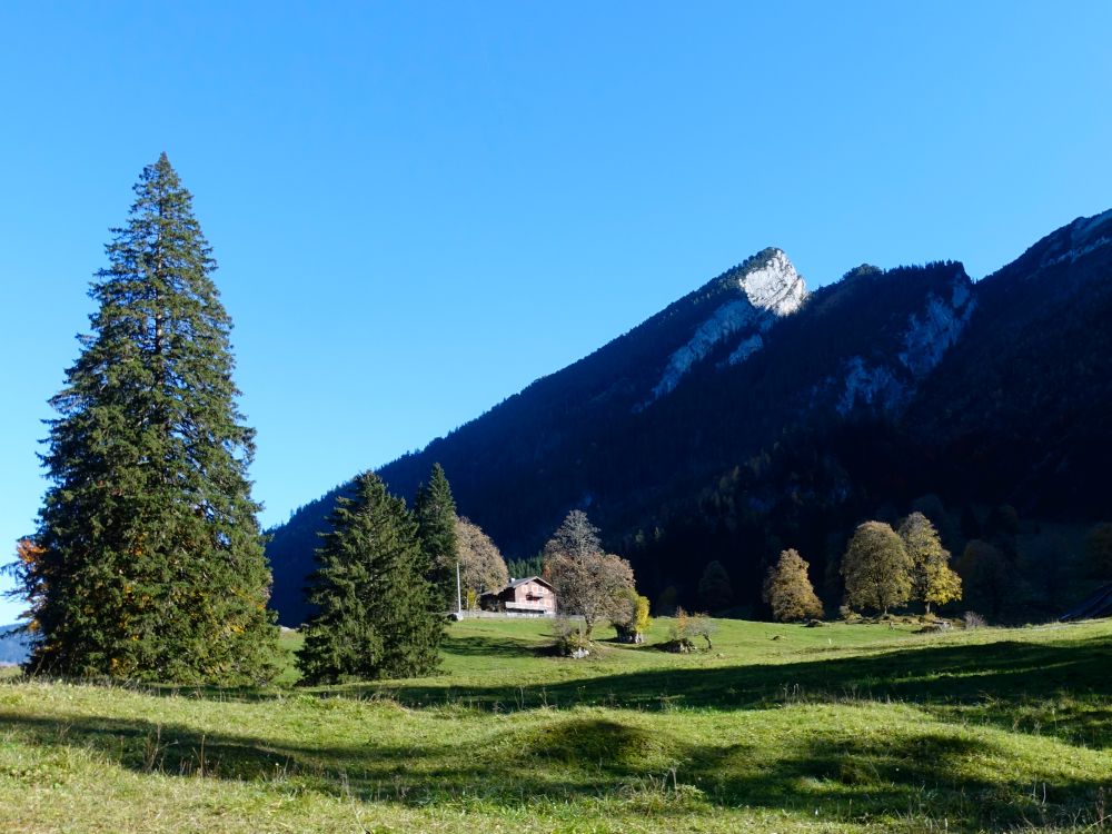 Niderseealp und Bärenstichchopf