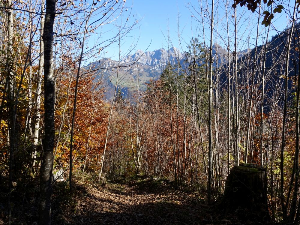 Wanderweg un Mürtschenstock