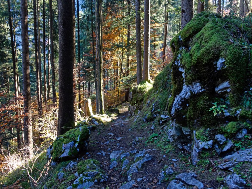 Wanderweg