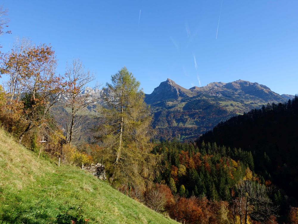 Fonalpstock und Schilt