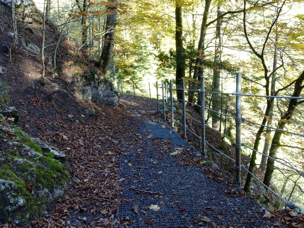 gesicherter Wanderweg