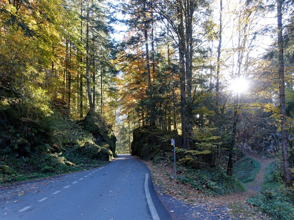 Oberseestrasse beim Haslenseeli