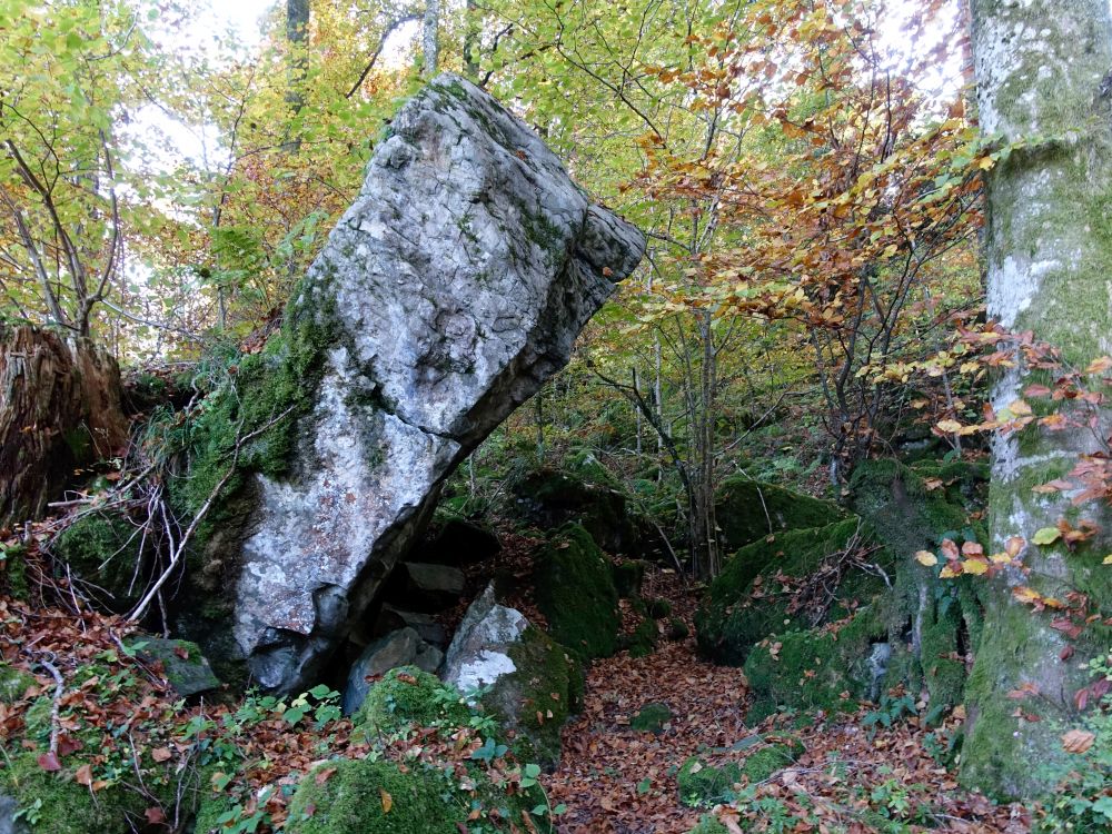 Fels in Schräglage