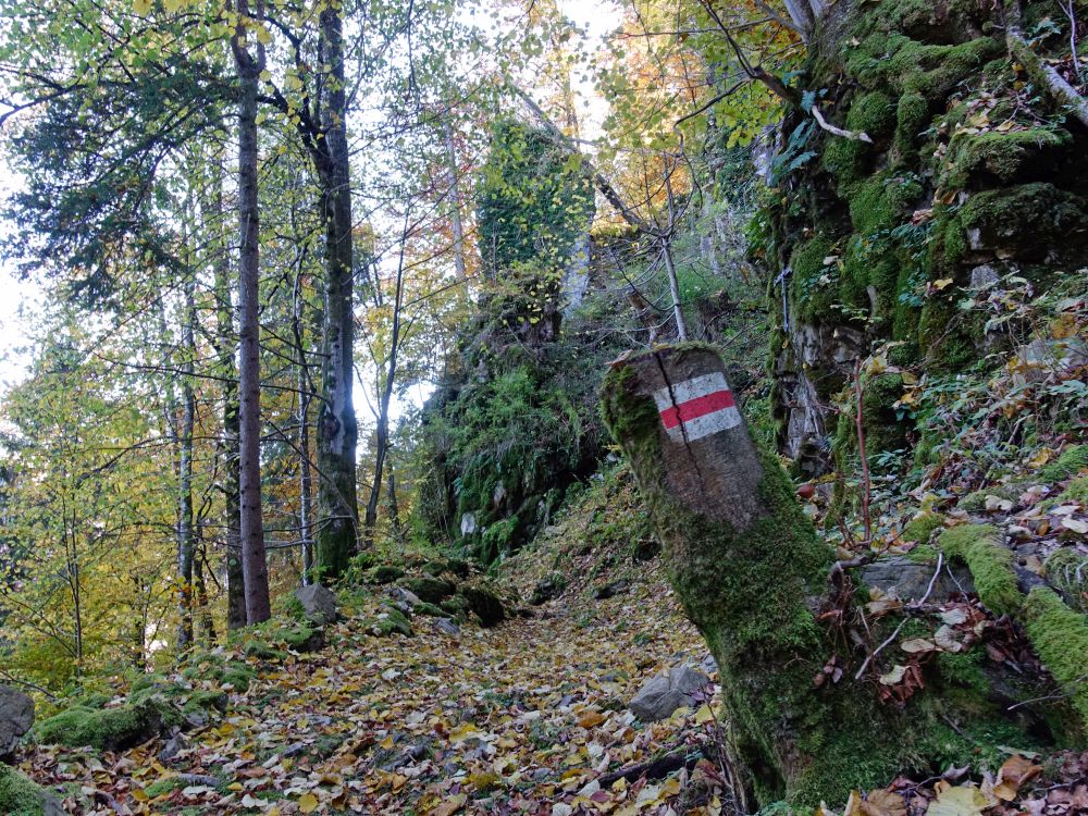 Wanderweg