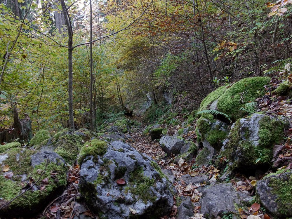 felsiger Wanderweg