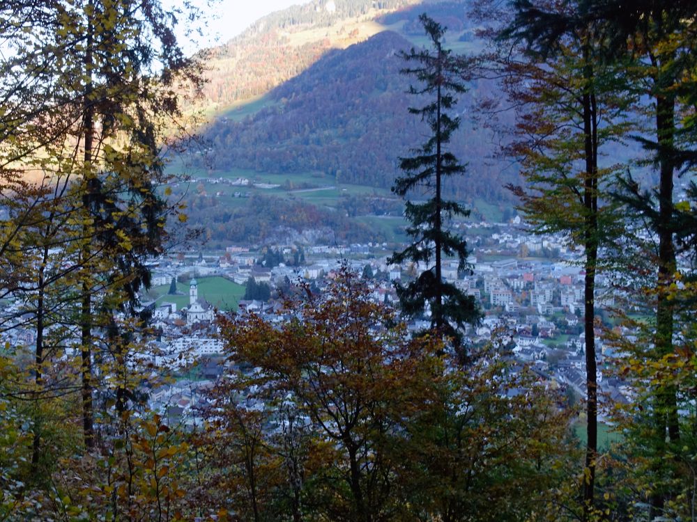 Blick auf Näfels