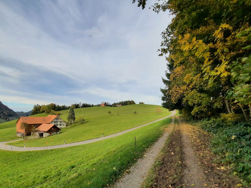 Bauernhof Höchi