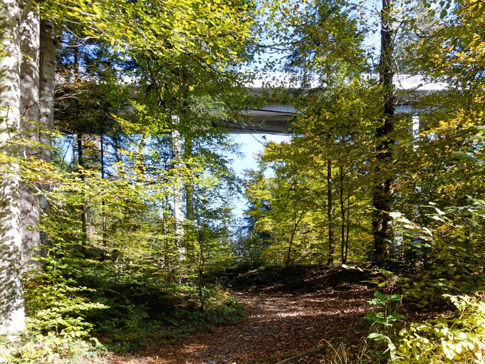 Strassenbrücke über Tüfenbach