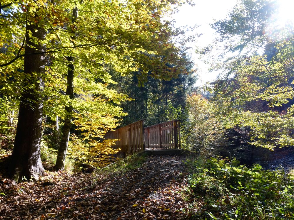 Holzsteg über Tüfenbach