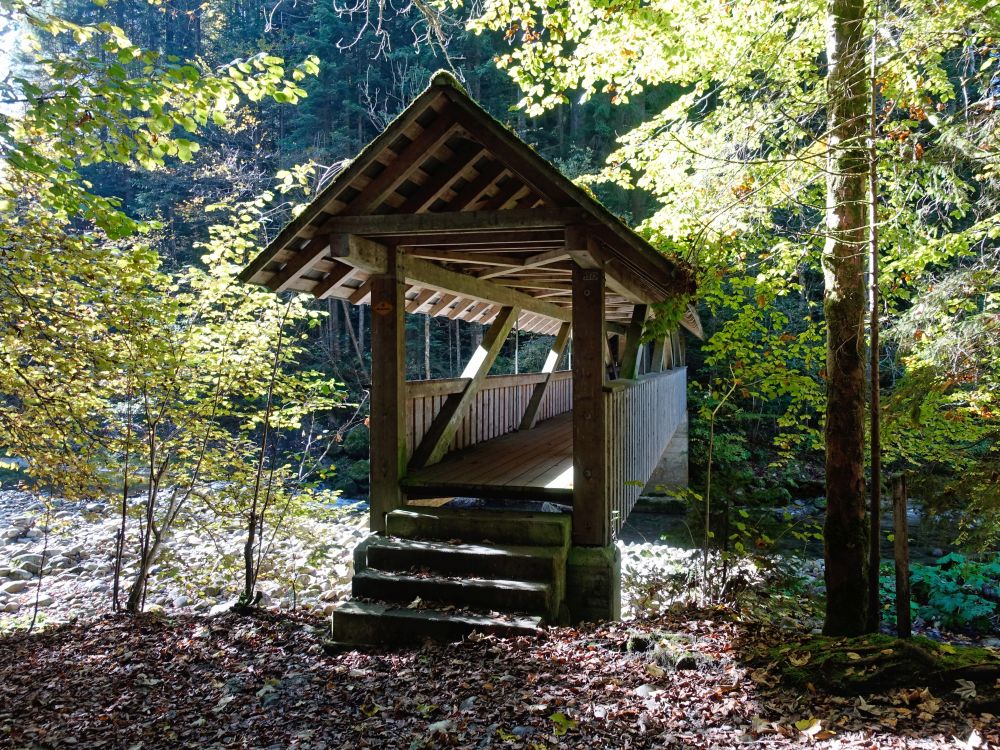 Bedachte Holzbrücke über Necker