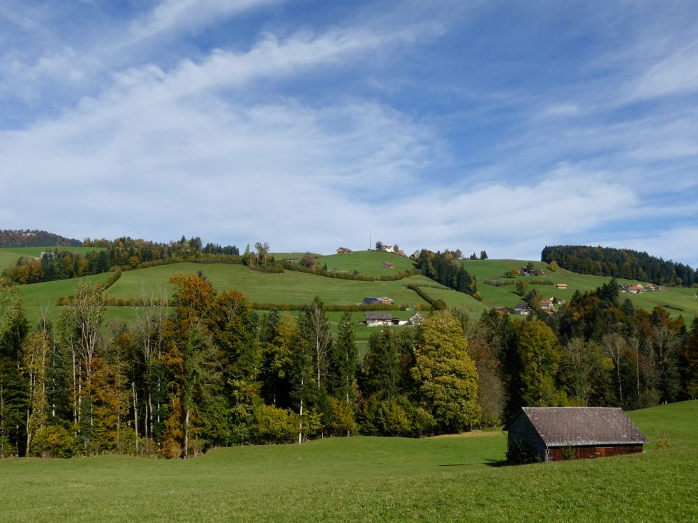 Blick Richtung Höchi