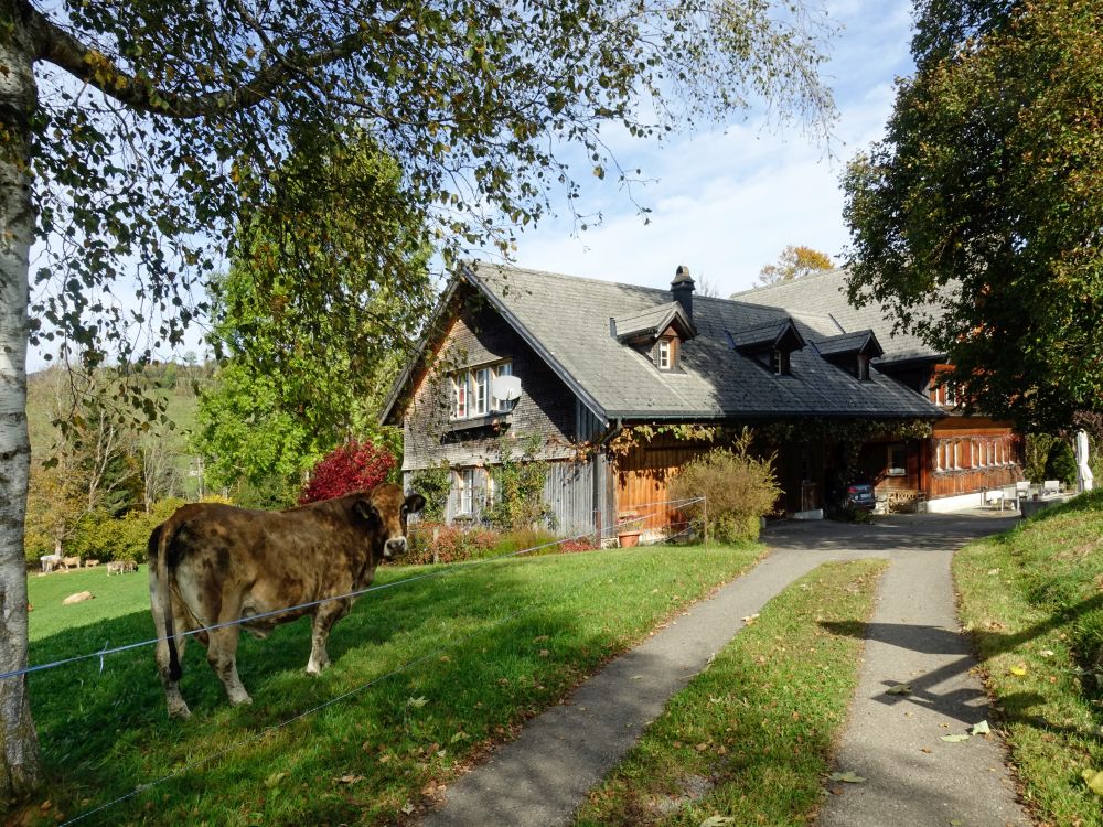 Bauernhof mit Kuh