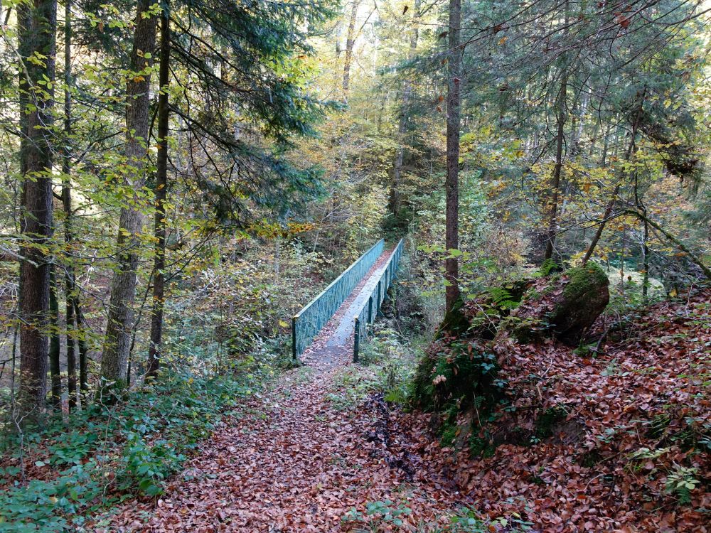 Steg im Tüfenbachtobel