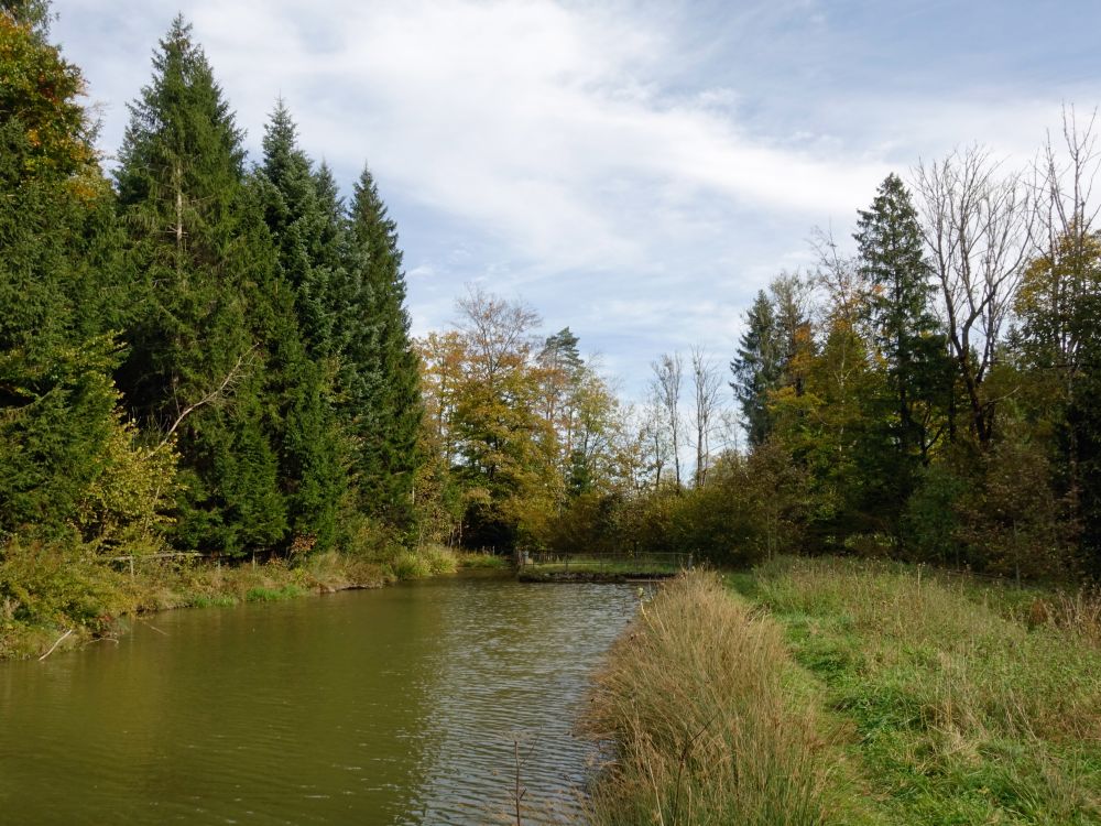 Teich bei Tüfi