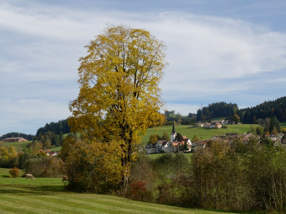 Blick Richtung Schönengrund