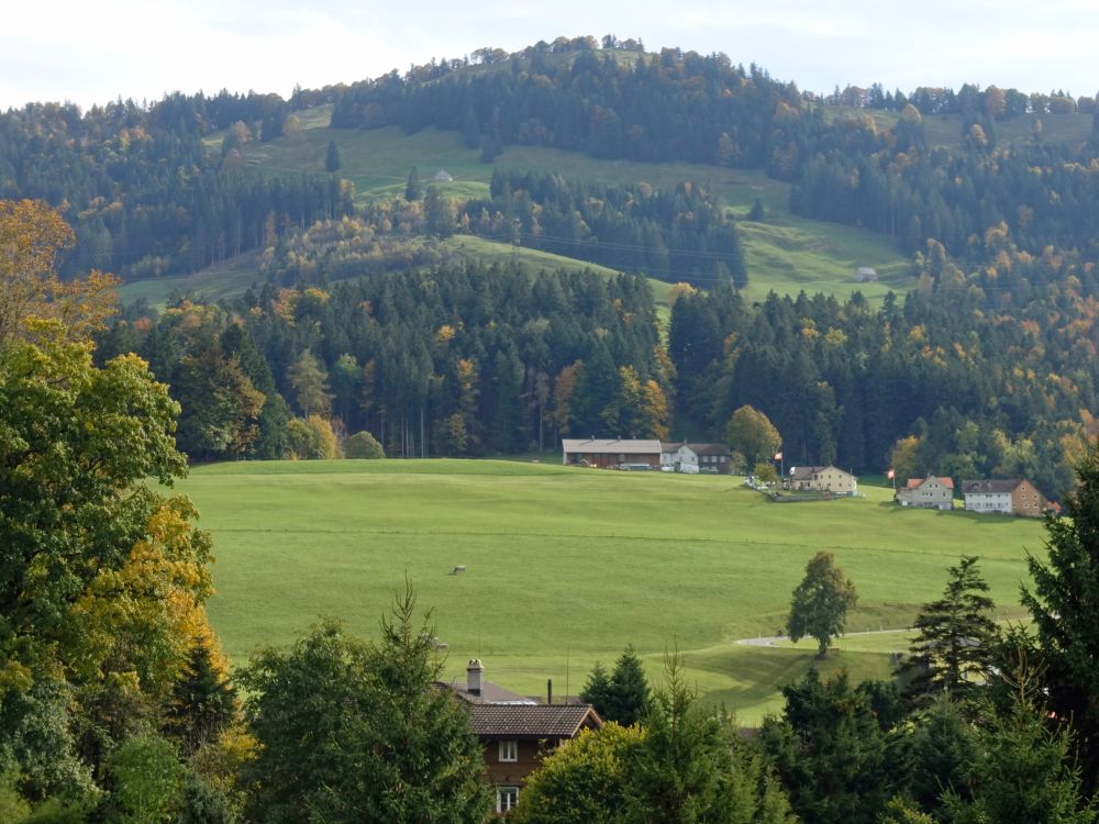 Berghang oberhalb Schönengrund