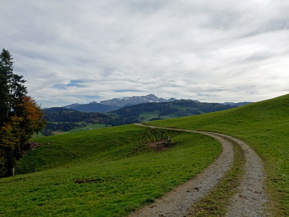 Blick zum Säntis